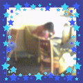 kittys-dreamboy.jpg